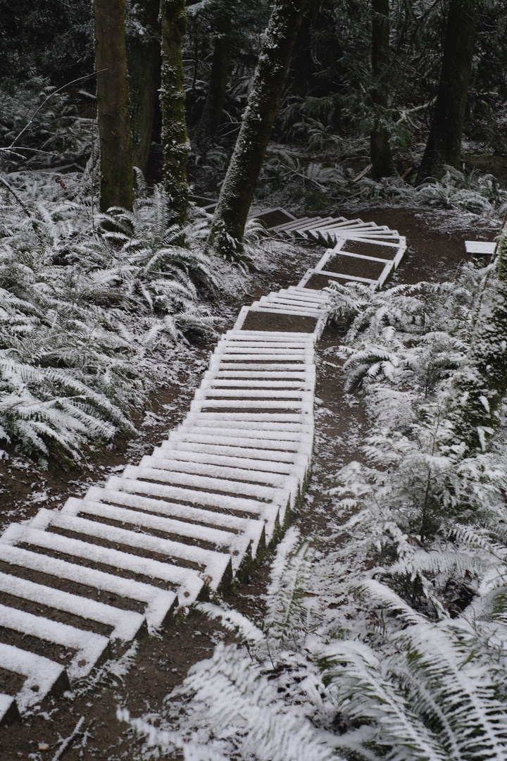 snow steps