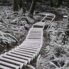 snow steps