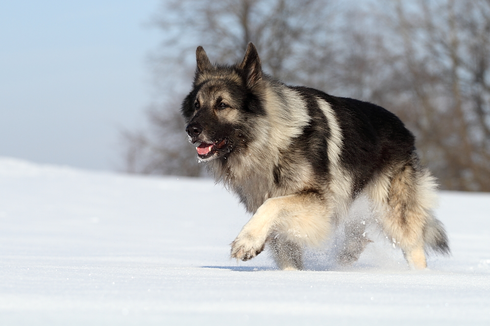 snow, sun, fun...