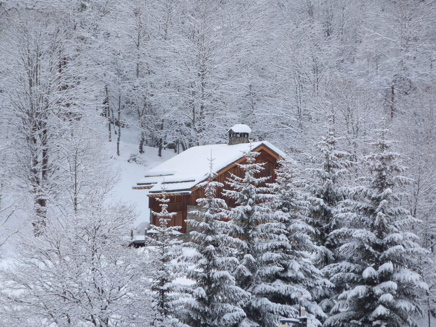 Snow... Sweet snow