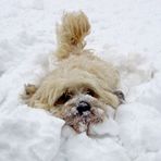 Snow swimming