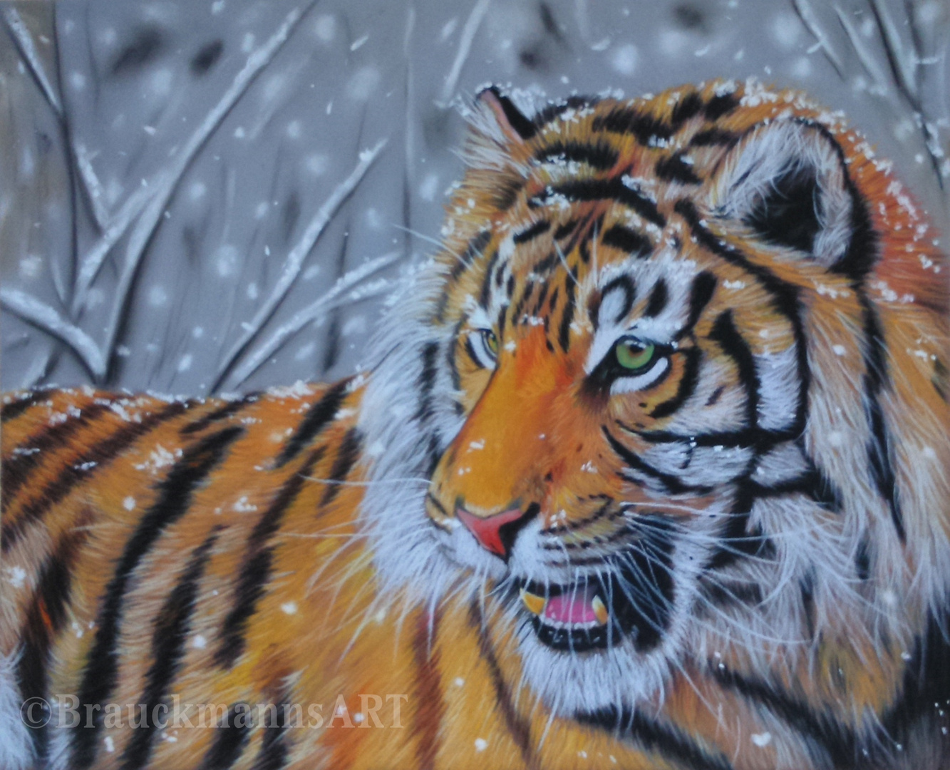 Snow Tiger