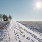 Snow tracks