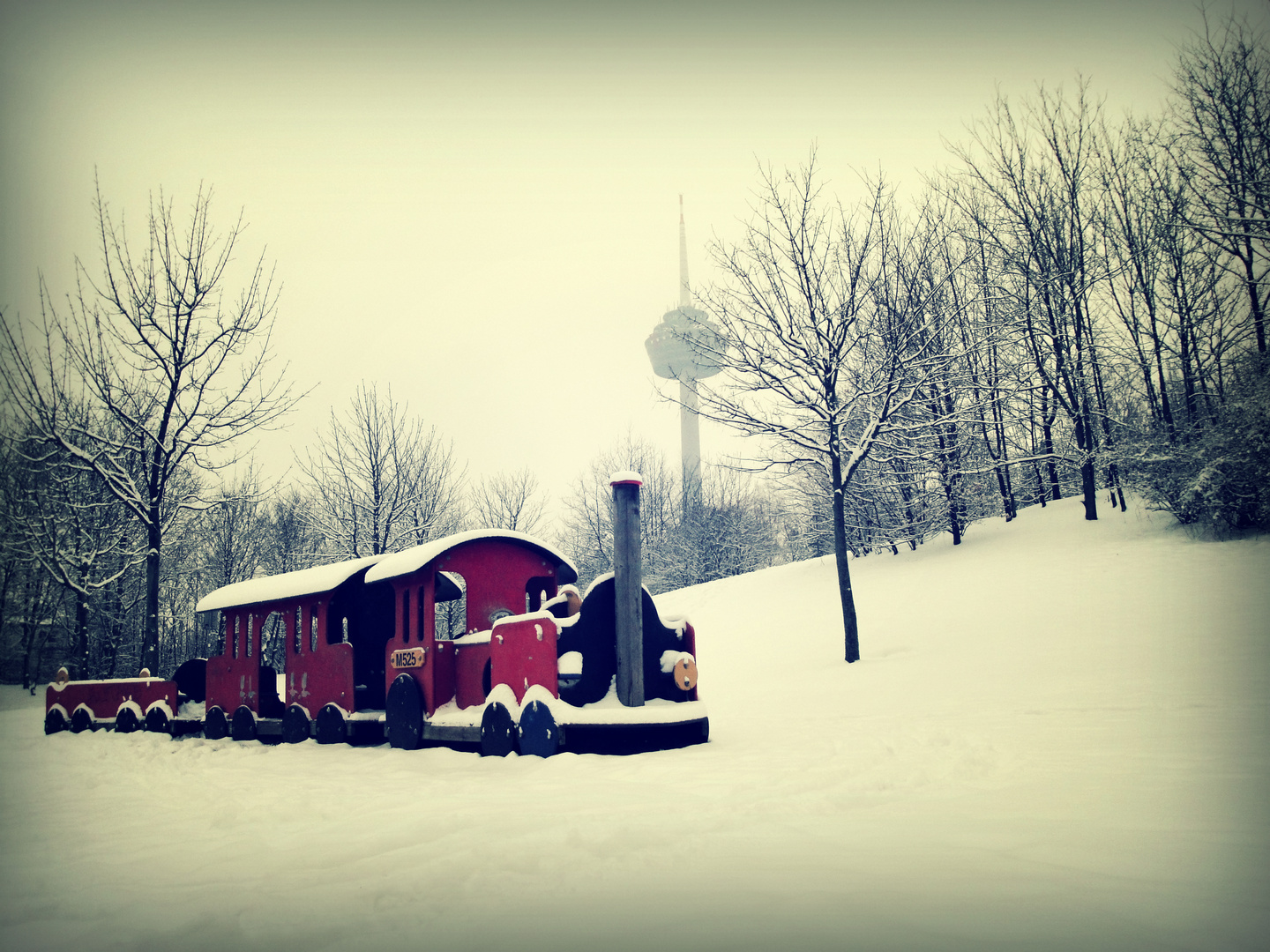 Snow Train