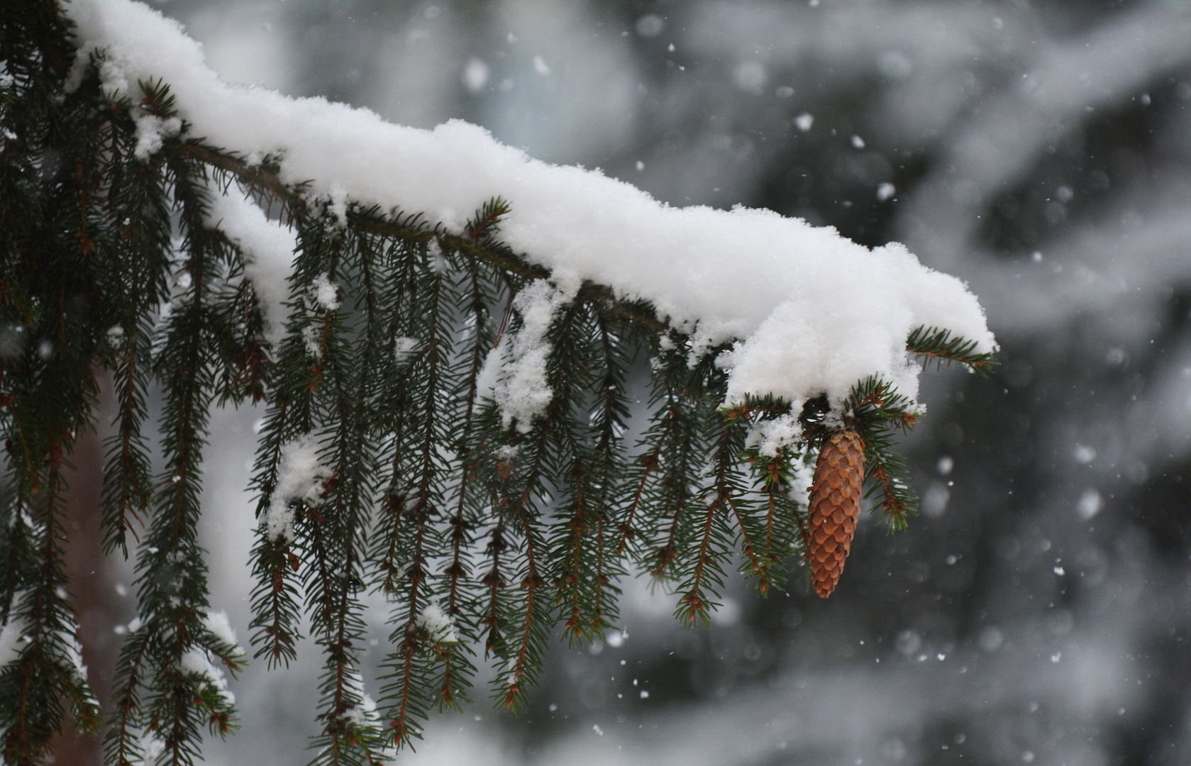 Snow train