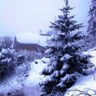 Snow Tree, Le Biot France