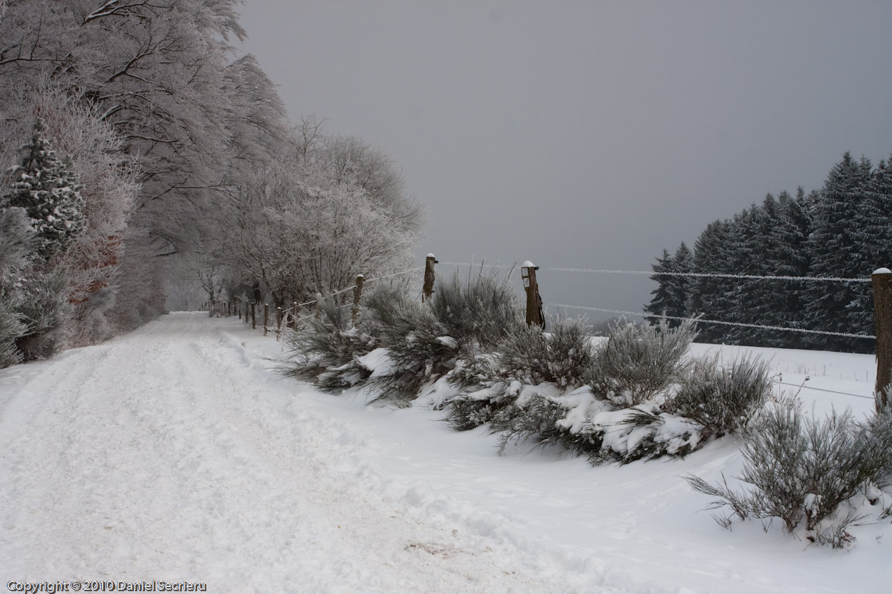 Snow walk