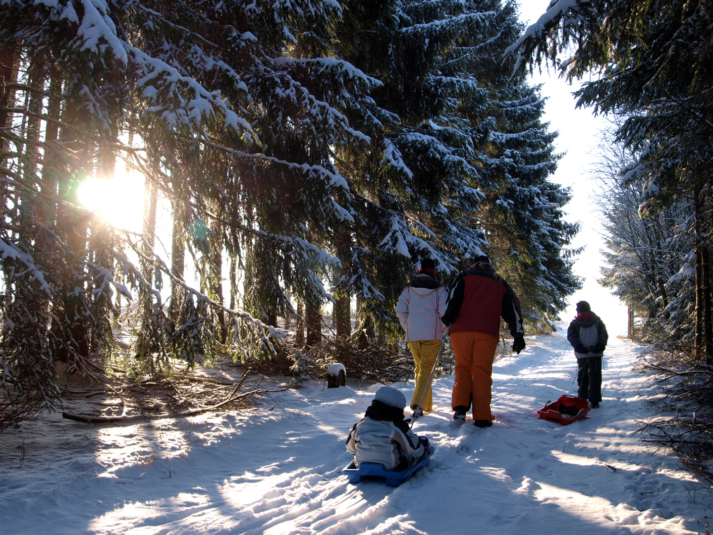 Snow Walk