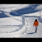 snow walk