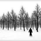 Snow walk