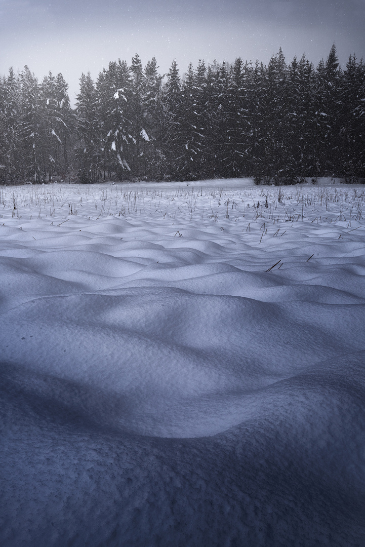 Snow Waves