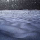 Snow Waves