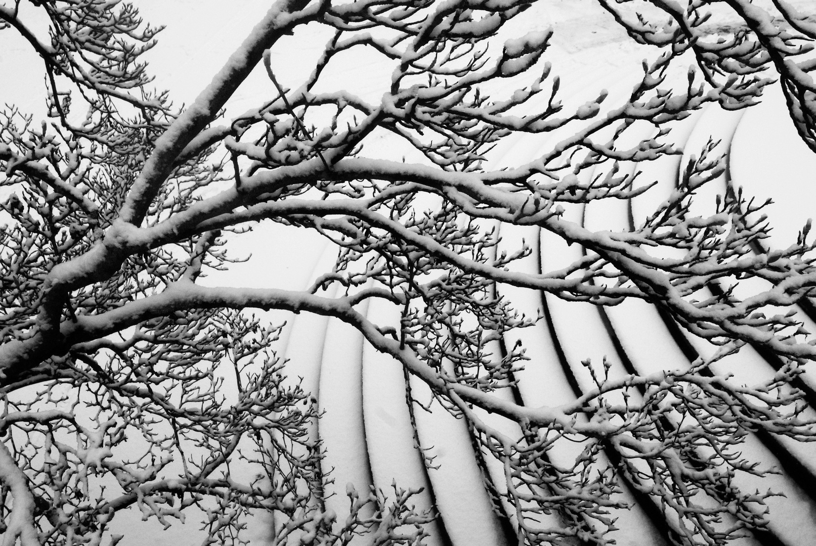 snow waves - Japanese style 