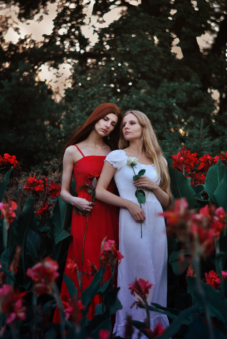 Snow-White and Rose-Red