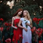 Snow-White and Rose-Red