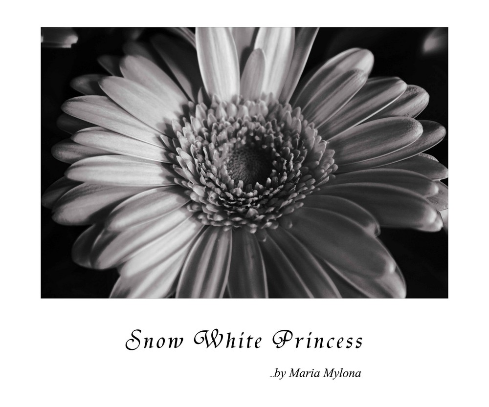 Snow White Princess