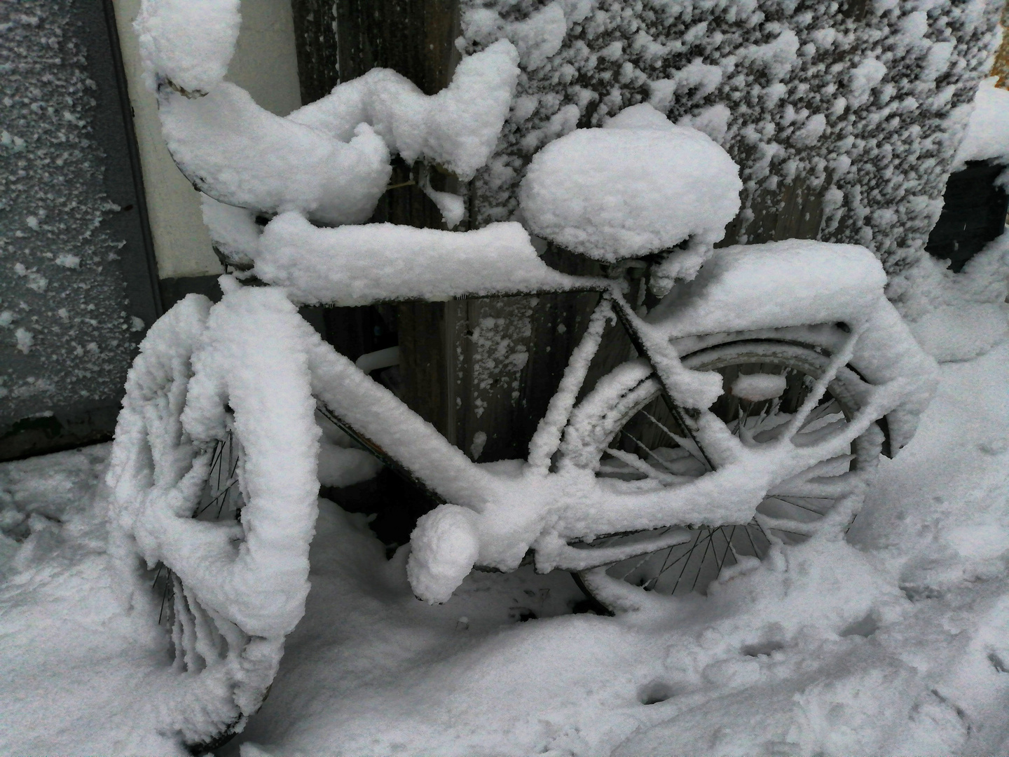 Snowbike