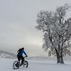 Snowbike_NR_128353