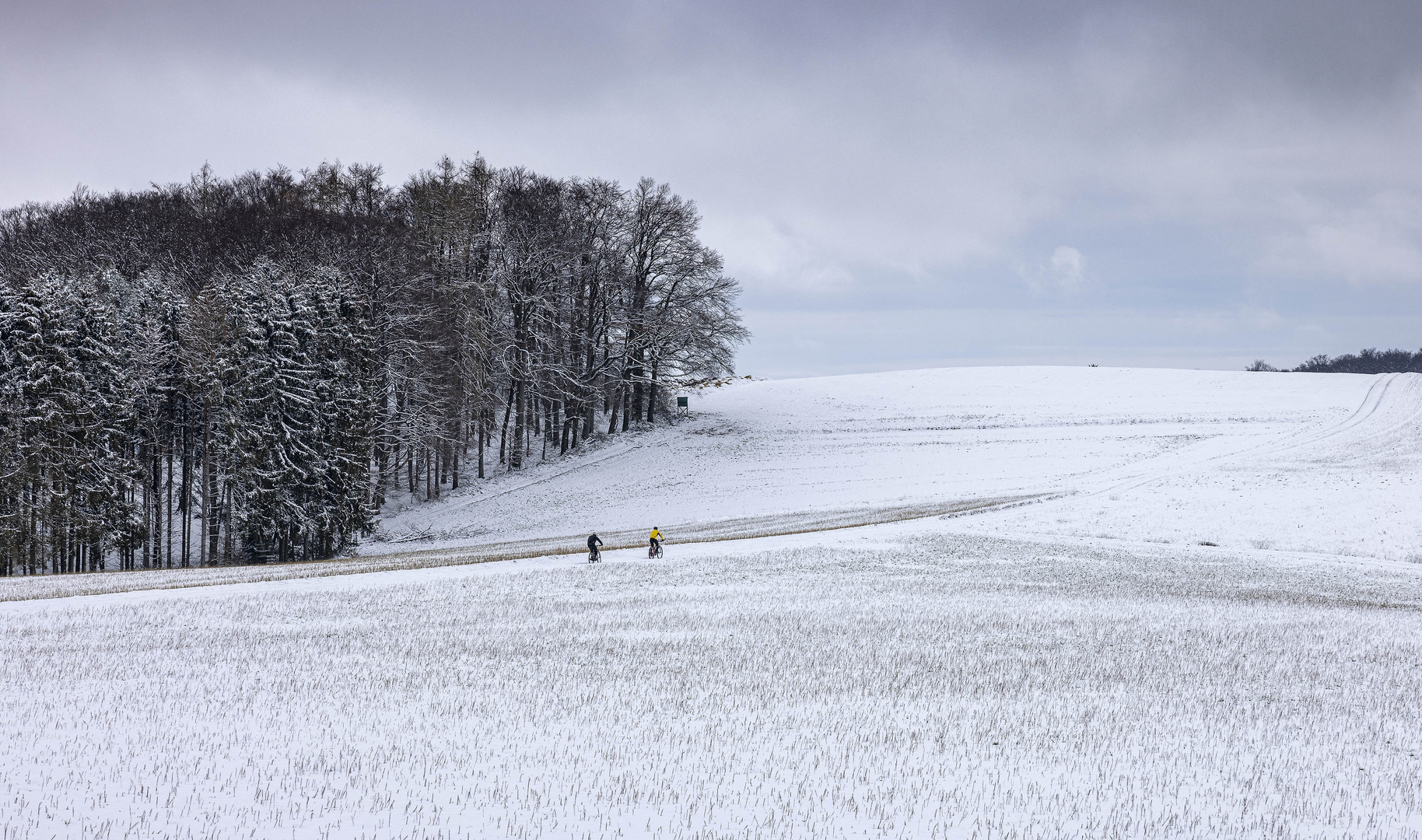 Snowbiker