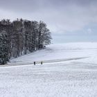 Snowbiker