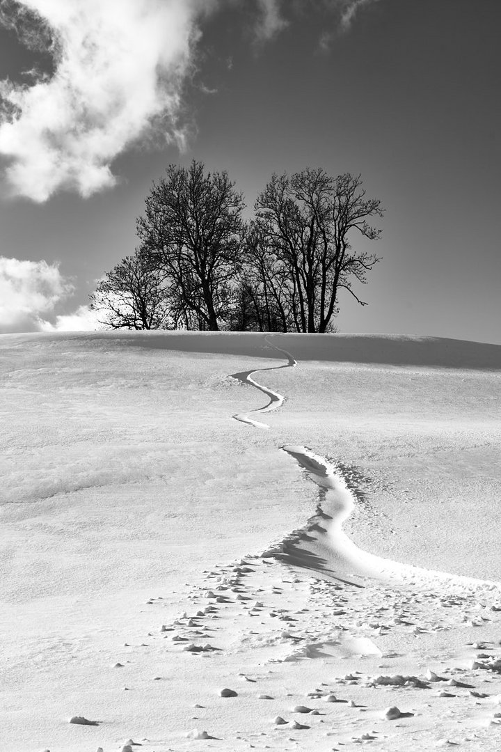 Snowboard-Solo