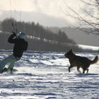 Snowboarder mit einem Gleitschirm wird von Hund gejagt