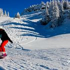 Snowboardfahrer in Warth - Schröcken