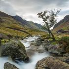 Snowdonia