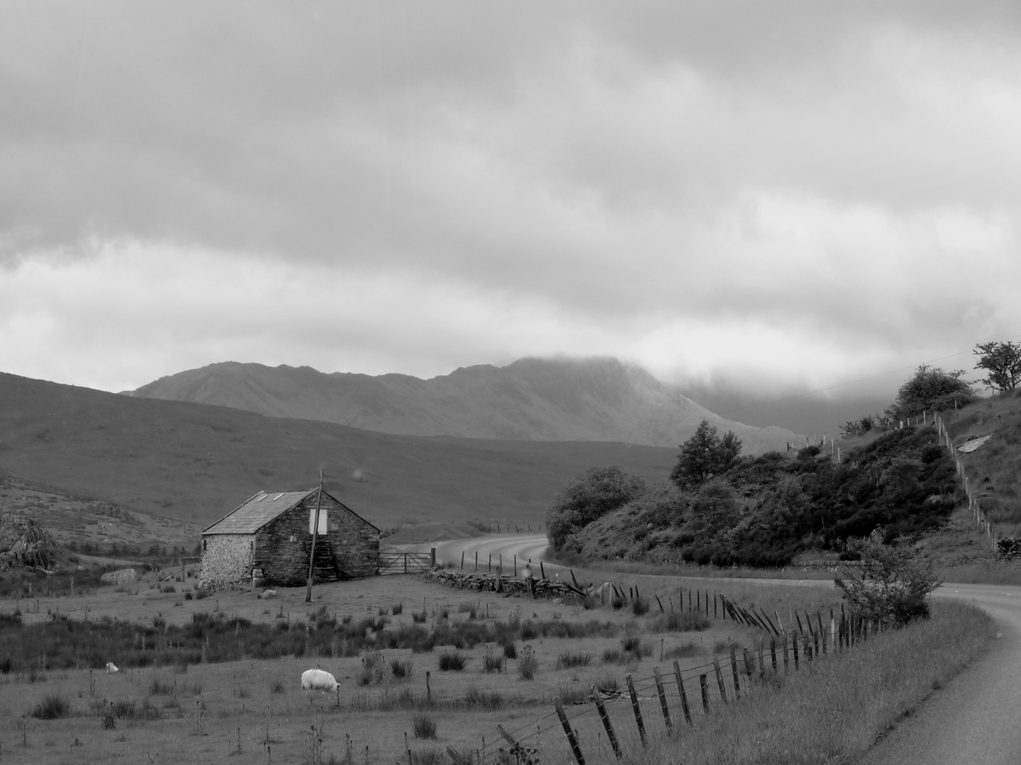 Snowdonia