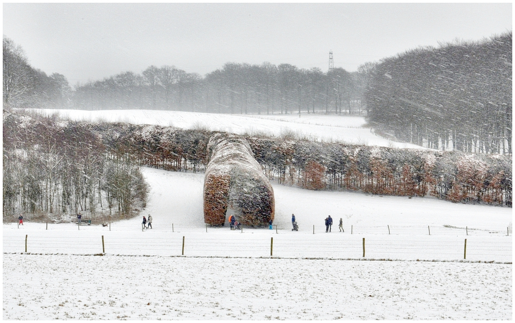 snowdrift | schneewehe