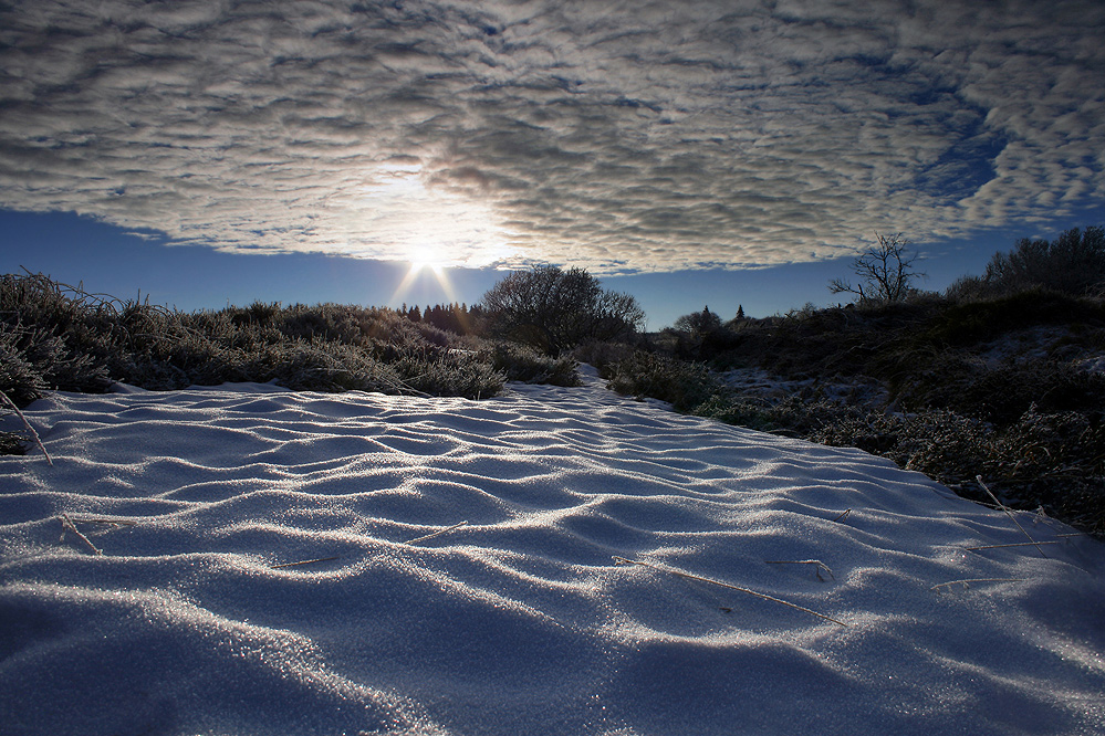 ~ snowdune ~