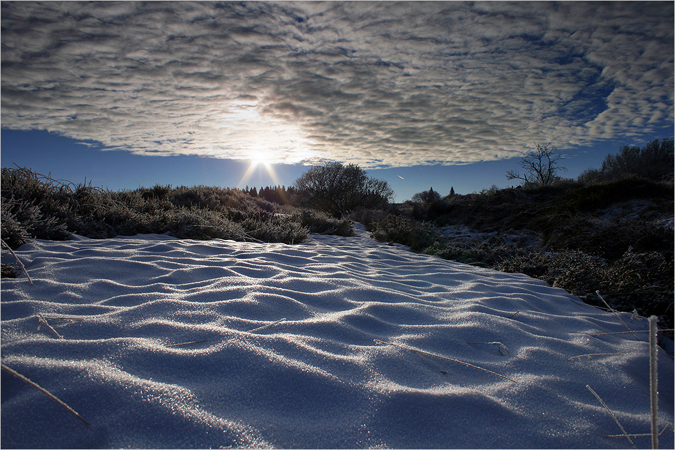 ~ snowdune ~