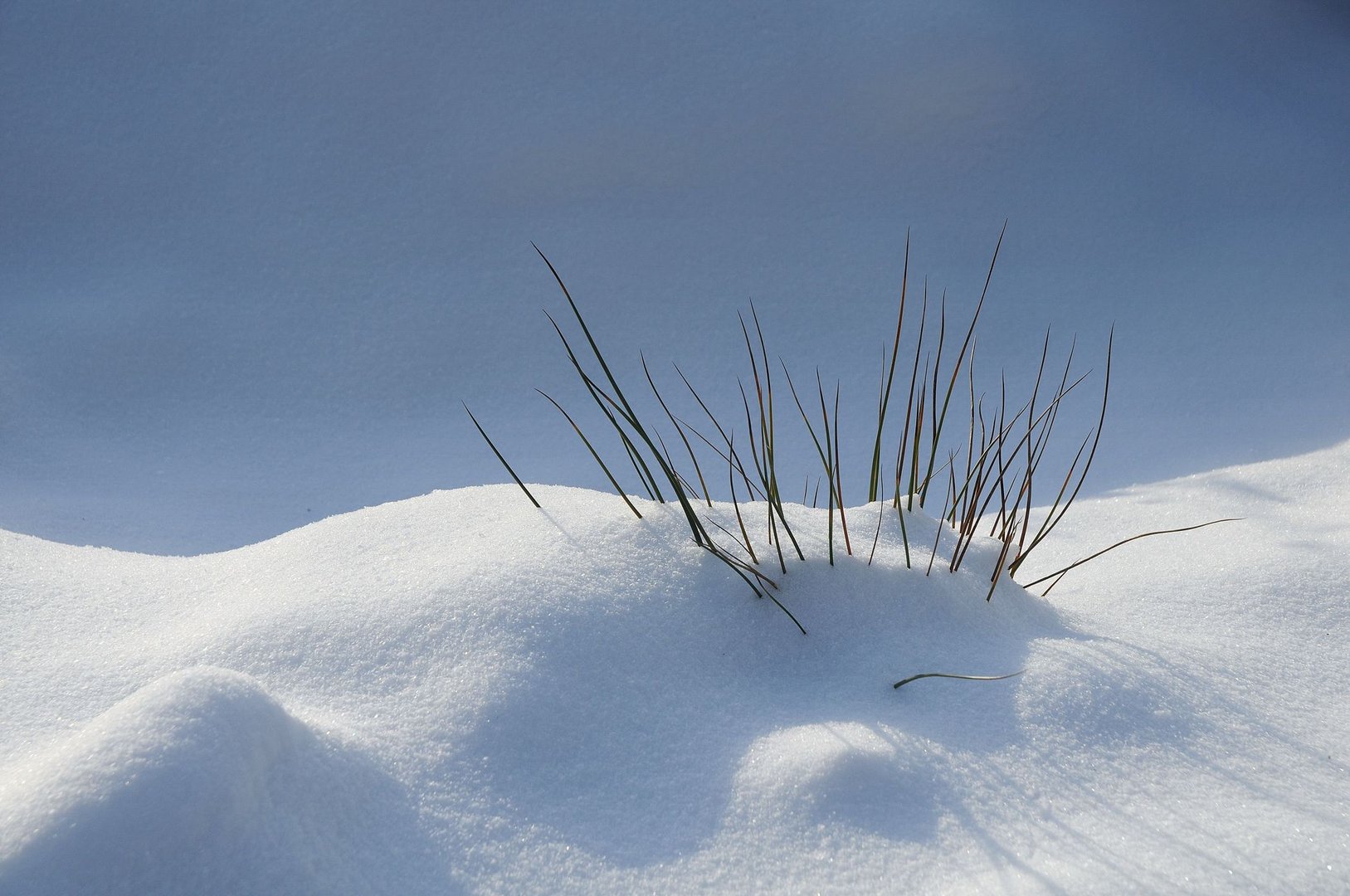 Snowdunes