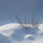 Snowdunes