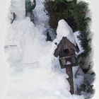 Snowed in bird cabin