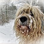 snOwfaCe...