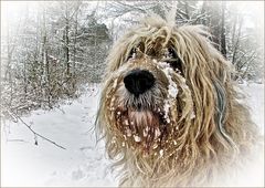 snOwfaCe...