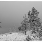 Snowfall at the Rim at Bryce Canyon