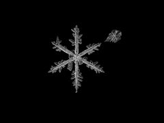 Snowflake Art II - Schneeflockenkunst II