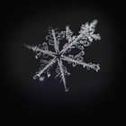 ...-~ snowflake crystal ~-...