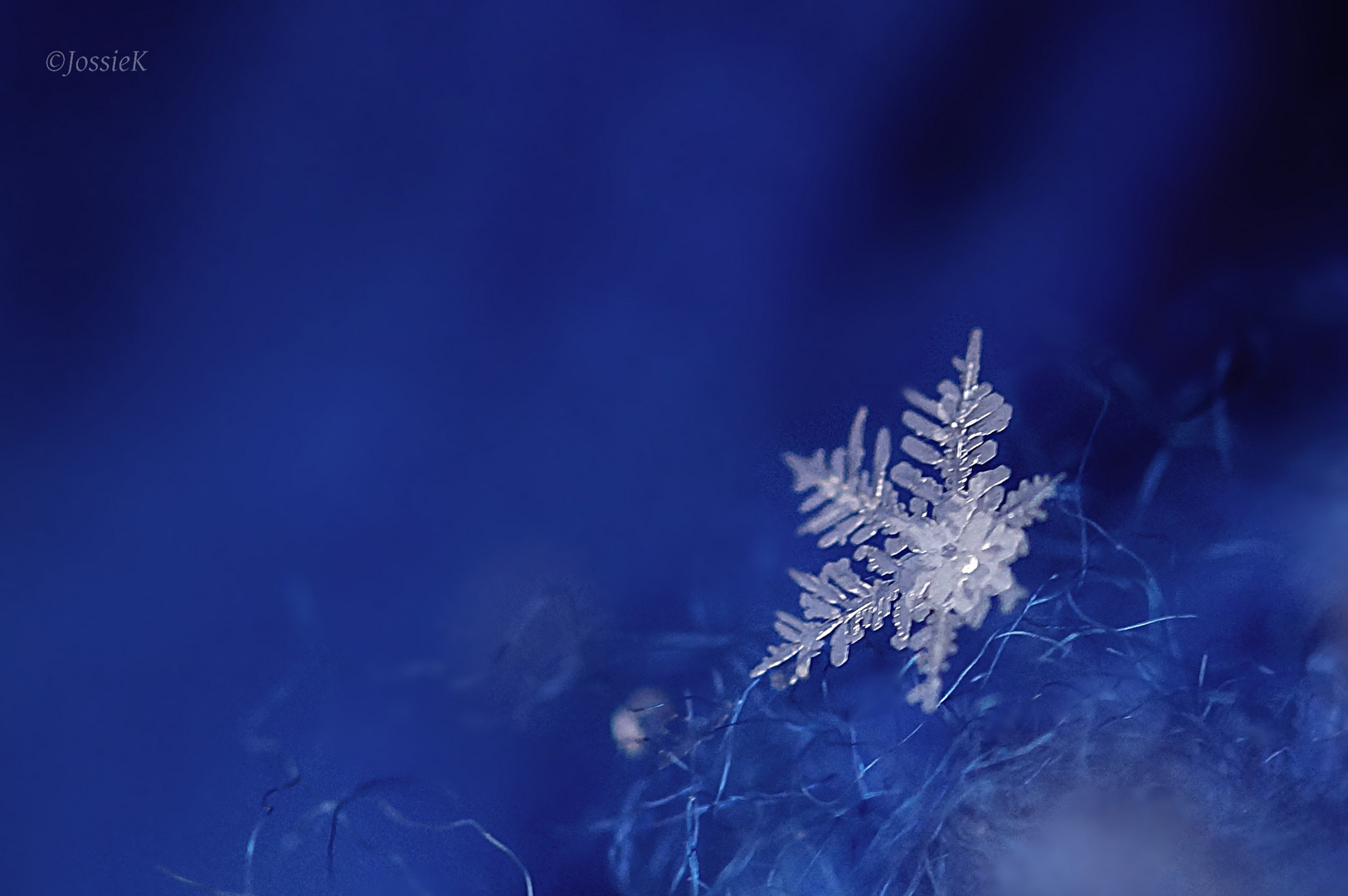 Snowflake on blue