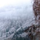 SnowFog