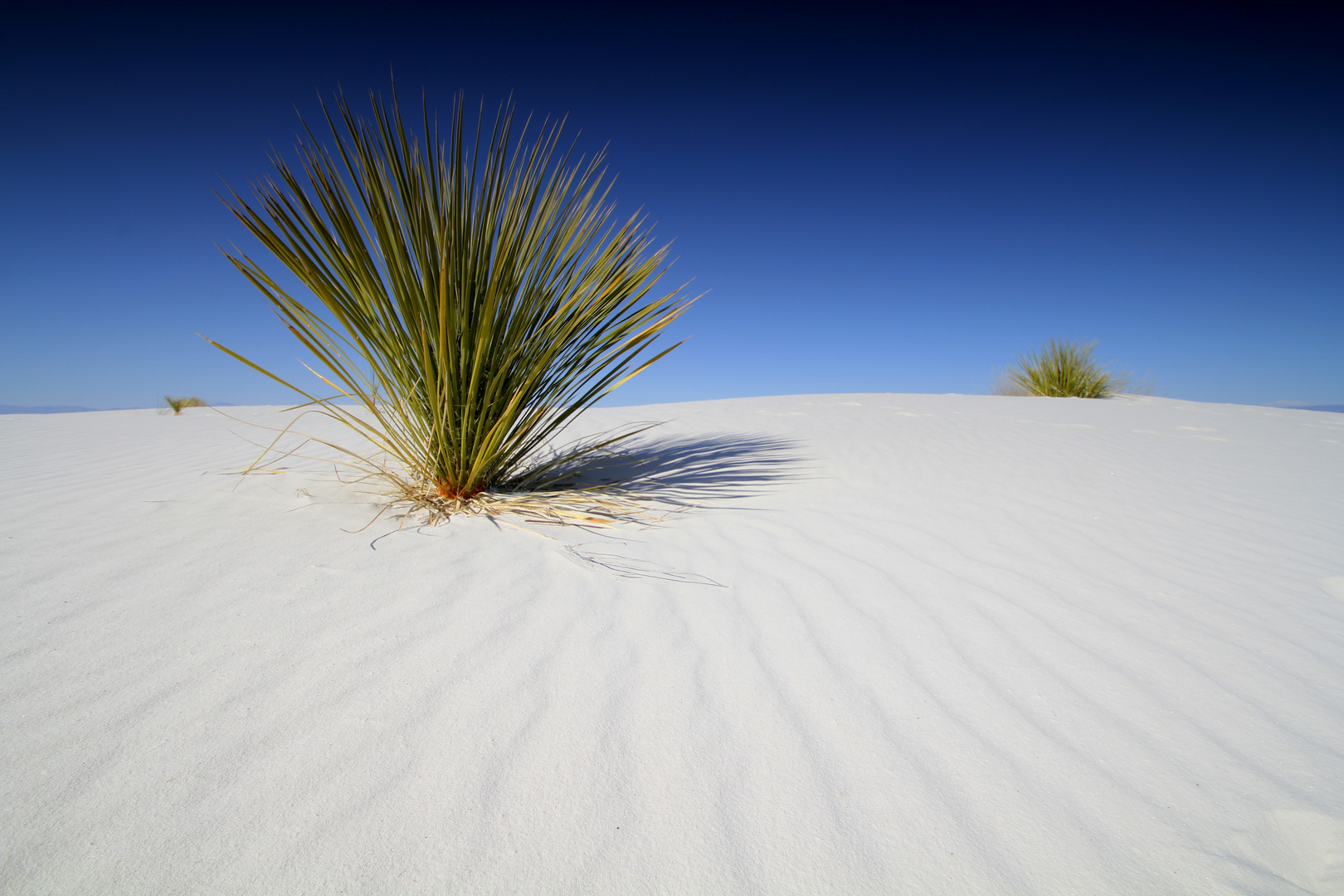 Snowhite Sands