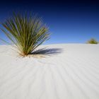 Snowhite Sands