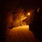 snowing night