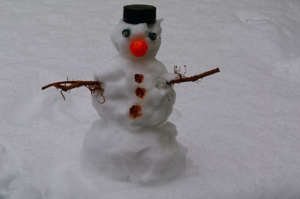 SNOWMAN*