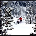 Snowmobile -01-