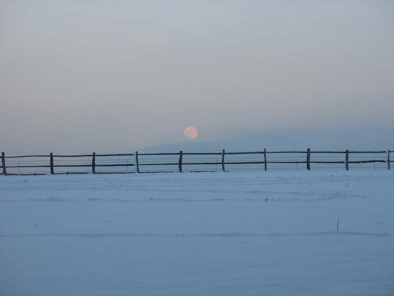 snowmoon