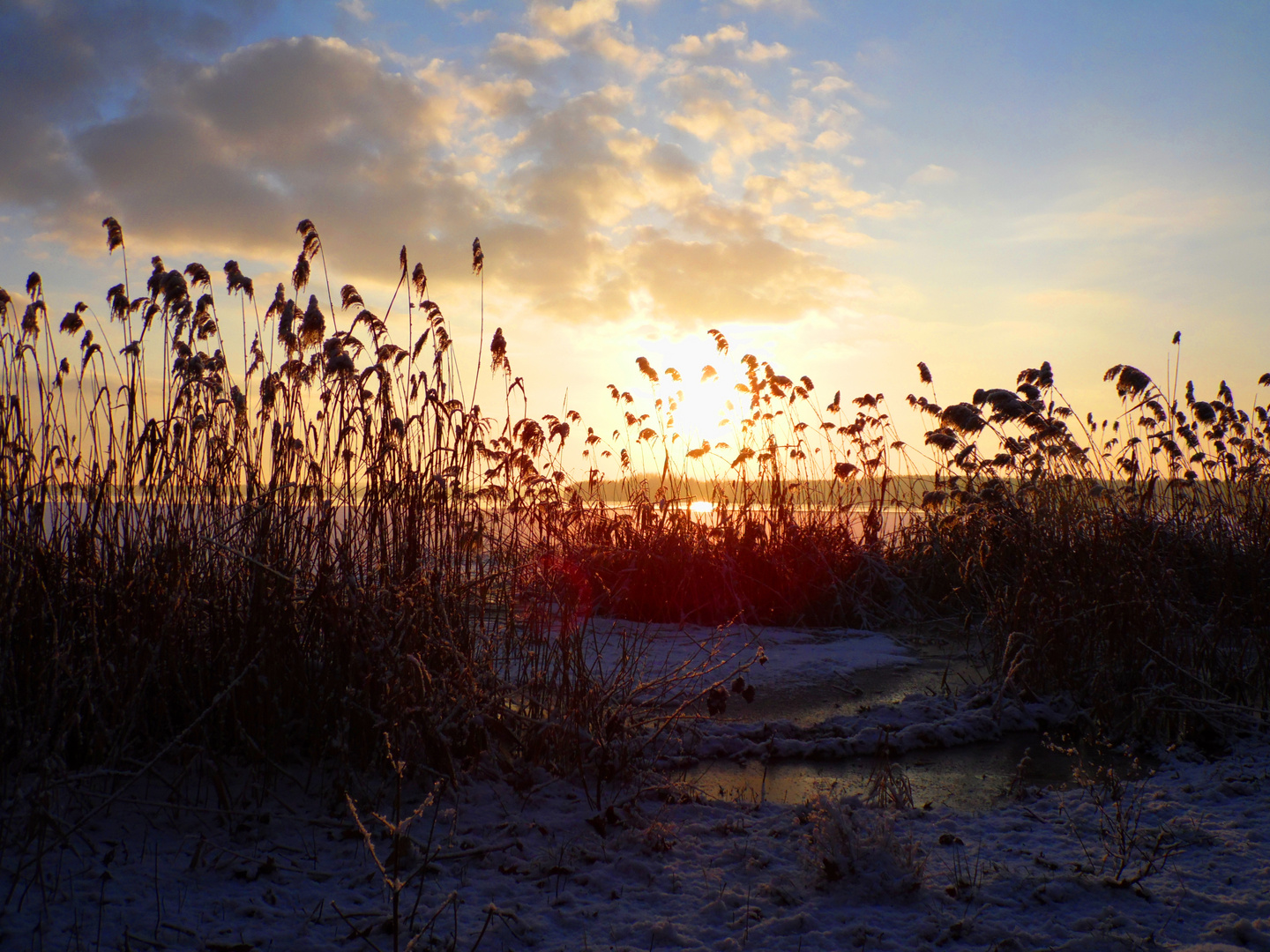 SnowMorning