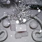 snowpic 1